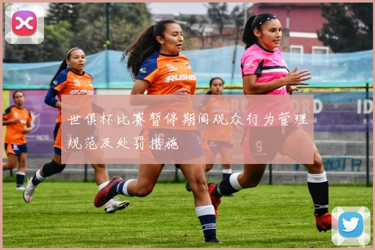 世俱杯比赛暂停期间观众行为管理规范及处罚措施
