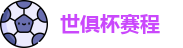 2025足球世俱杯官网